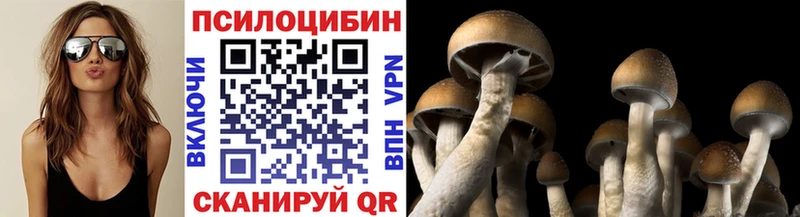 Галлюциногенные грибы Psilocybine cubensis  Аткарск 