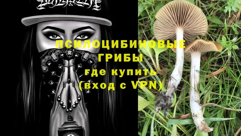 Псилоцибиновые грибы Magic Shrooms  Аткарск 